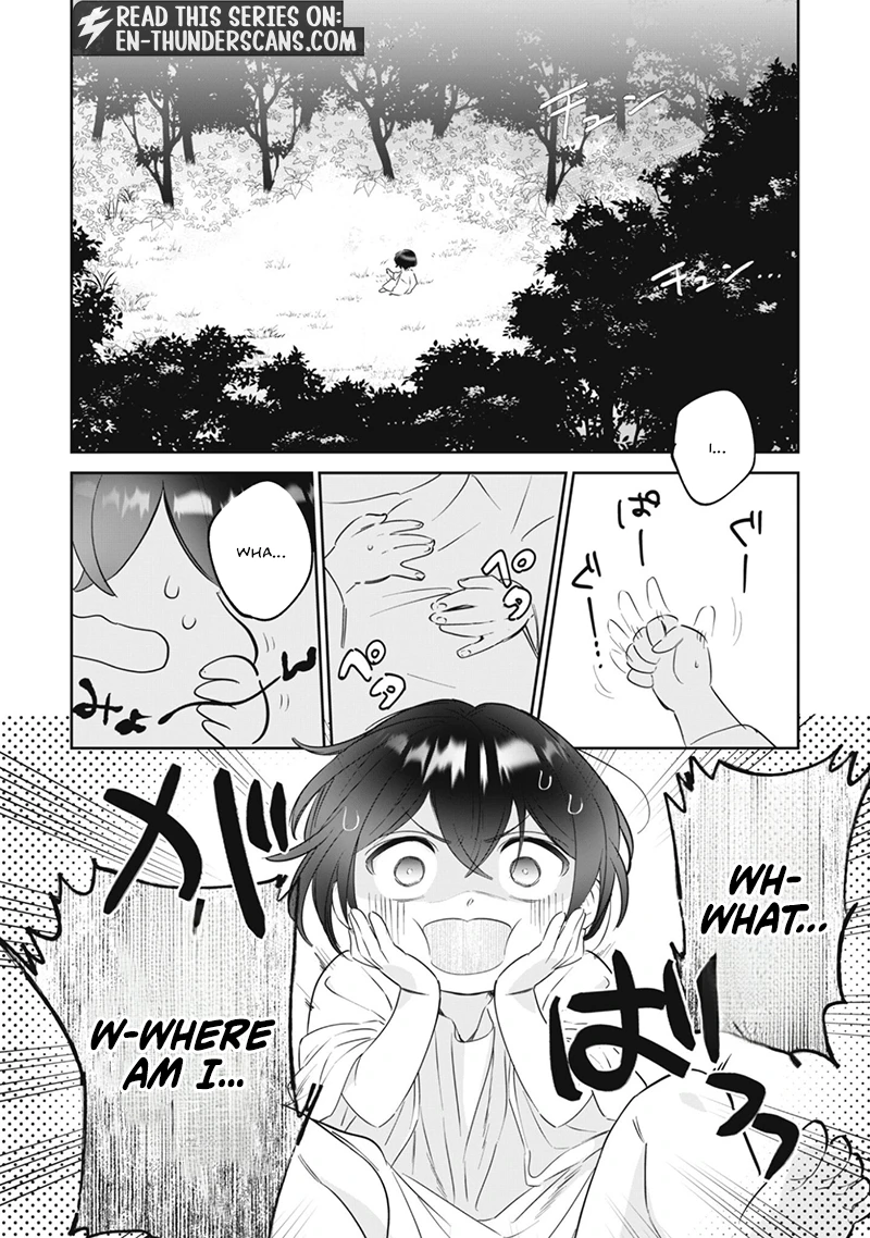 A Tiny Reincarnator’s Cozy Life in the Fluffy Forest Chapter 1 — Page 17