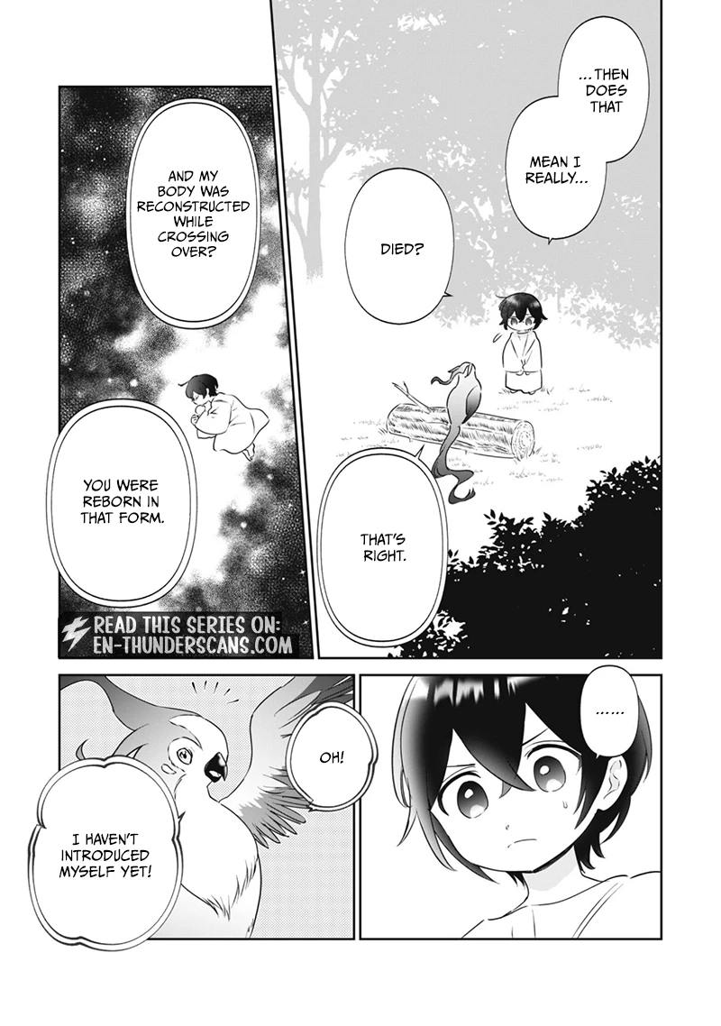 A Tiny Reincarnator’s Cozy Life in the Fluffy Forest Chapter 1 — Page 22