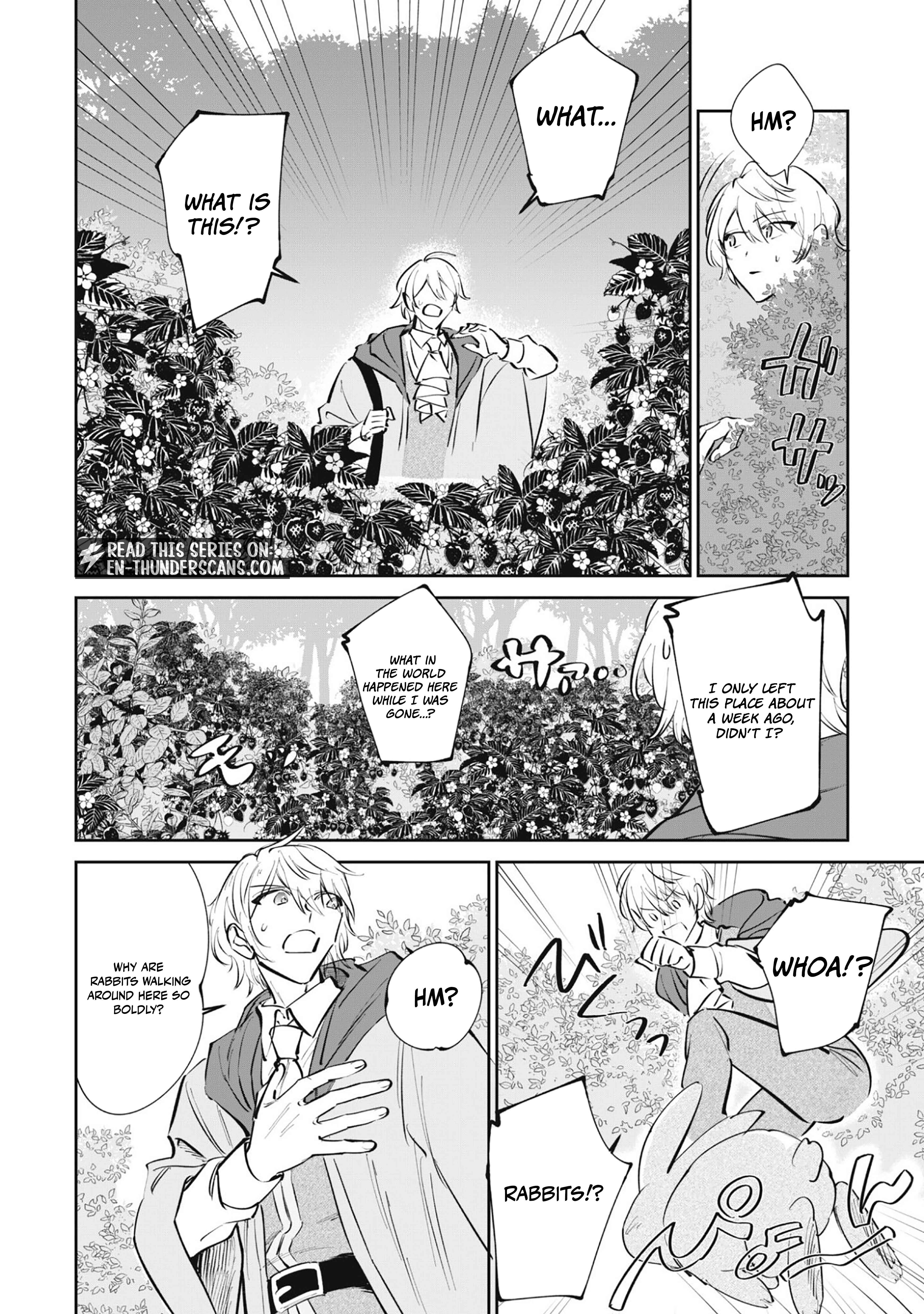 A Tiny Reincarnator’s Cozy Life in the Fluffy Forest Chapter 4 — Page 12