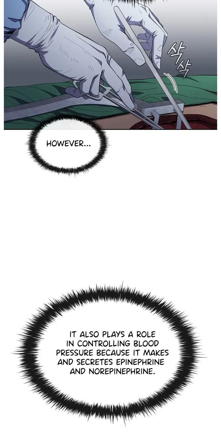 A True Doctor Chapter 128 — Page 80