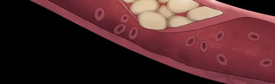A True Doctor Chapter 152 — Page 135