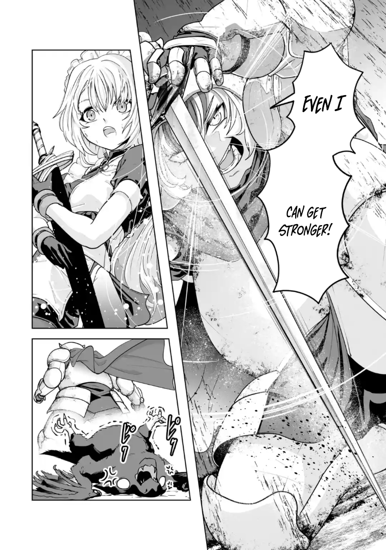 Akuyaku Kizoku ga Hirakinaotte Hametsu Furagu o Jitsuryoku de Hataki Otteitara, Itsunomanika Hirointachi Kara Eiyuushi Sareru you ni Natta ken Chapter 01 — Page 19