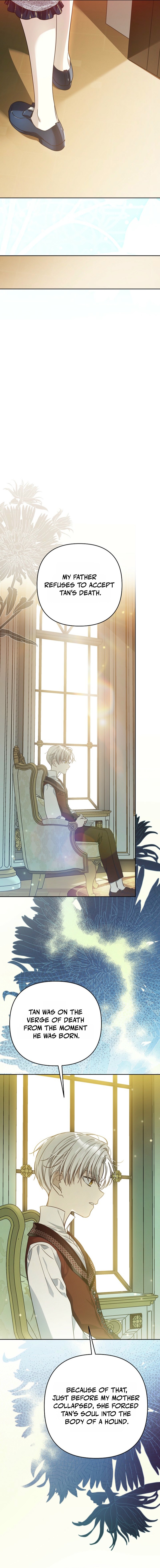 En travesti: I Became a Fake Prince Chapter 16 — Page 20