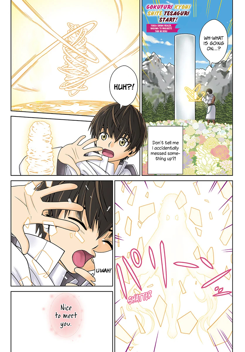 Gokufuri Kyohi Shite Tesaguri Start! Tokka Shinai Healer, Nakama to Wakarete Tabi ni Deru Chapter 1 — Page 2