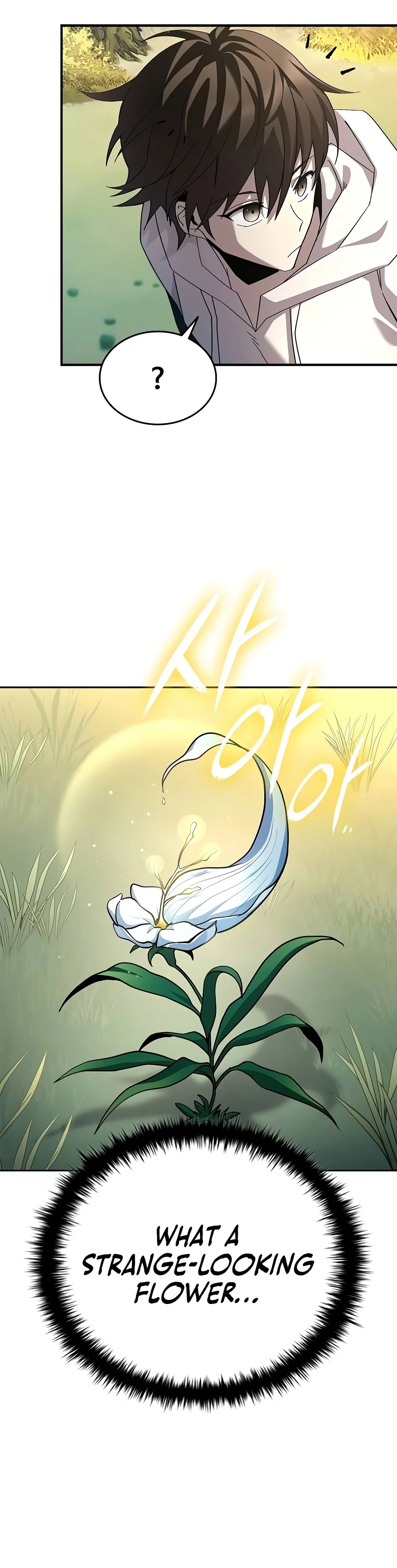 Got a Gallery in the Wild Chapter 1 — Page 5