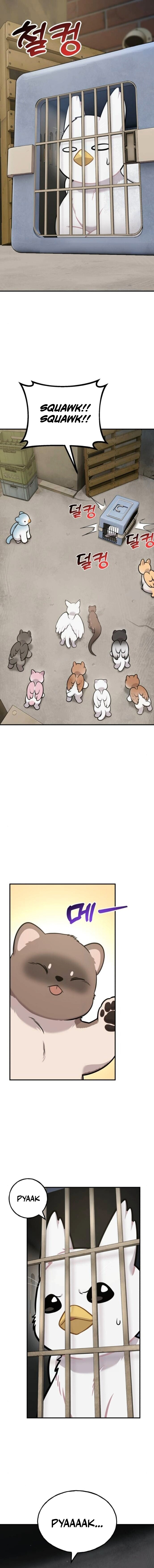 Hello, Griffin the Fluffy Bird! Chapter 38 — Page 9