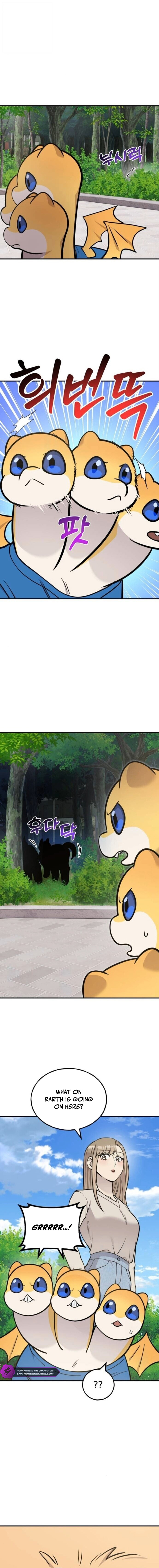 Hello, Griffin the Fluffy Bird! Chapter 38 — Page 14