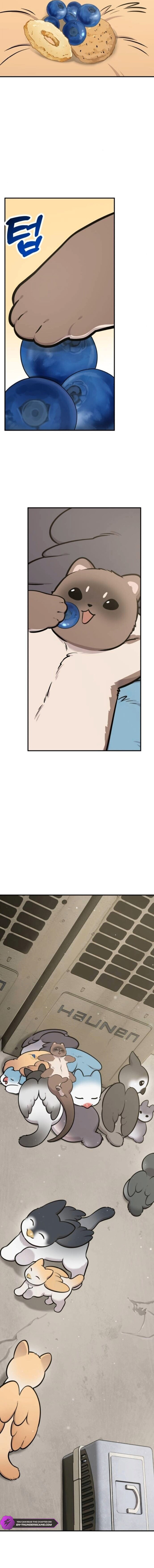 Hello, Griffin the Fluffy Bird! Chapter 38 — Page 15