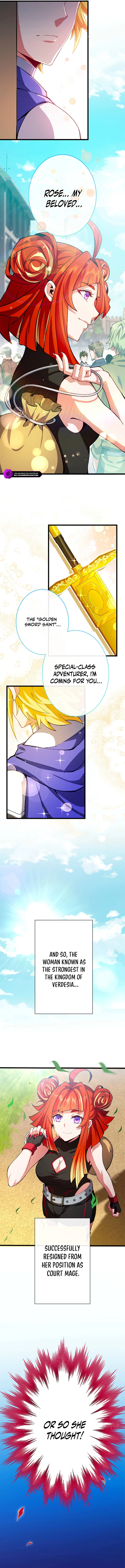 I Quit My Job Because I Was Too Busy Being a Genius Court Wizard Chapter 1 — Page 15