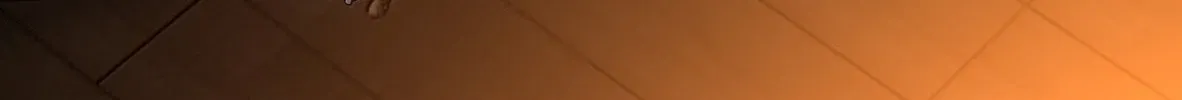 I'm Really Not the Devil's Lackey Chapter 169 — Page 36