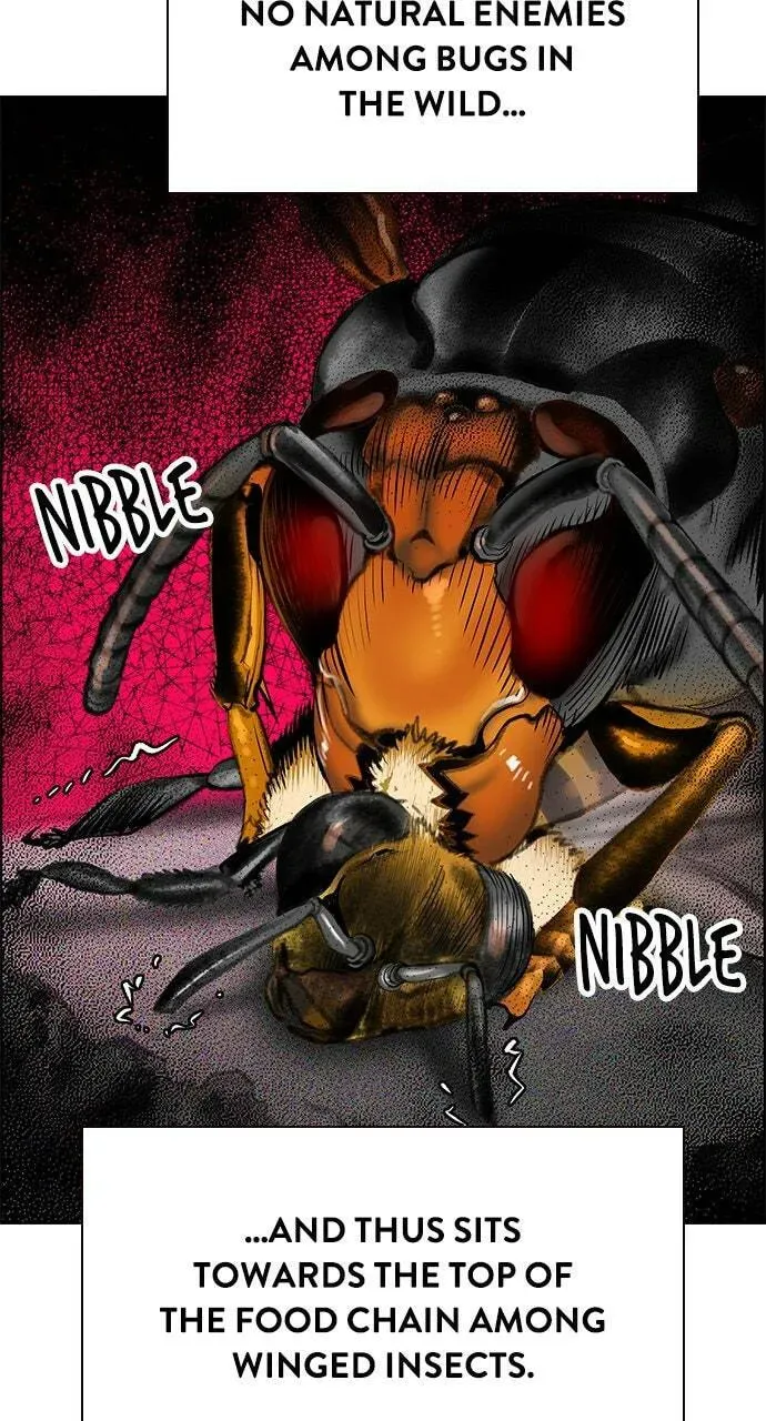 Jungle Juice Chapter 12.1 — Page 167