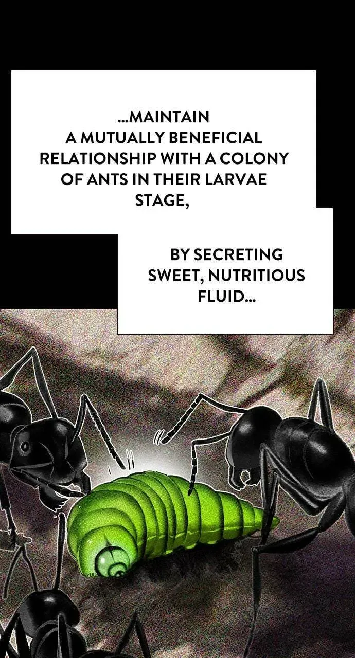 Jungle Juice Chapter 20.1 — Page 39