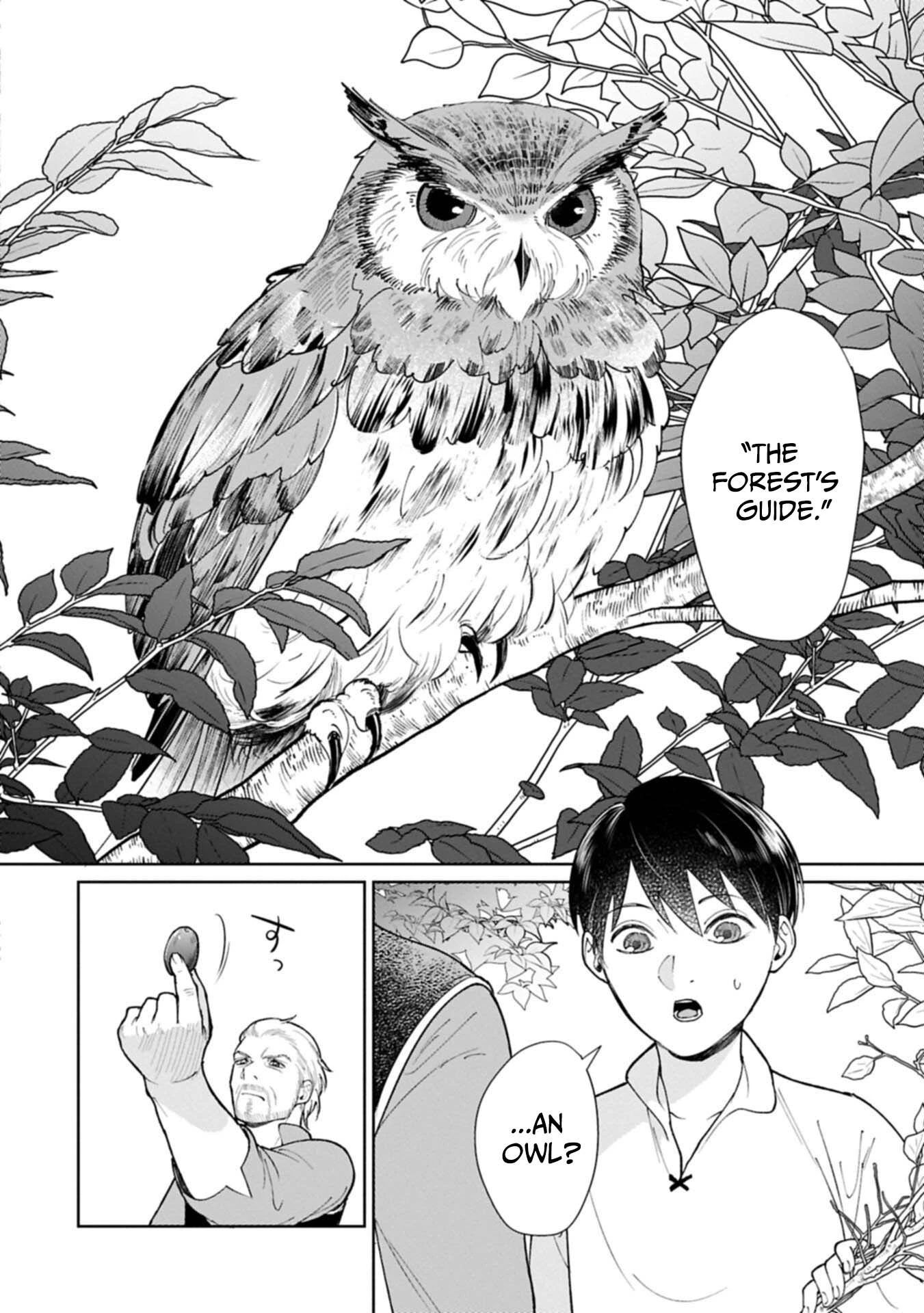 May Tomorrow Be Another Good Day ~ A new family was born in another world~Three brothers’ heartwarmi Chapter 8.1 — Page 5