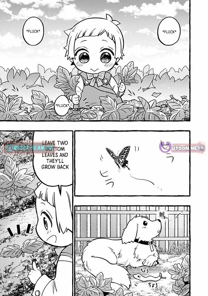 Moto Kizoku no Yonkyoudai wa Kujikenai! Chibikko dakedo Okkina Mofumofu to Issho ni Taisetsu na Kazoku wo Mamoru no ra! Chapter 5.2 — Page 10