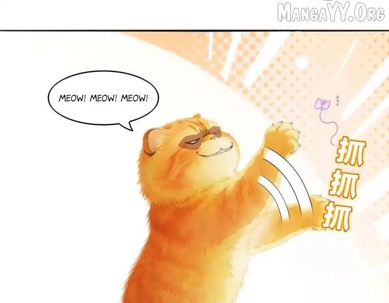 My Furry Harem Is After Me Chapter 427 — Page 26