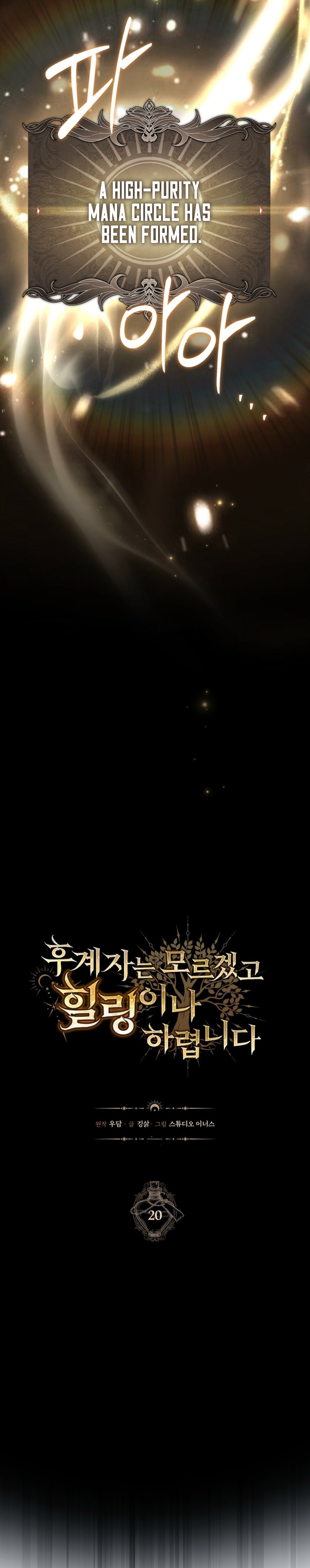 Never Mind the Heir, I'll Focus On Healing Chapter 20 — Page 4