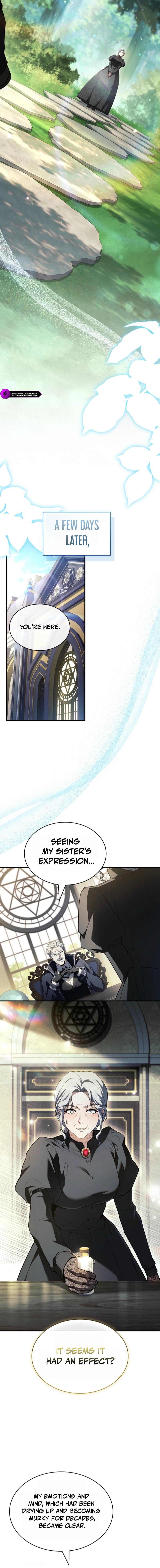 Never Mind the Heir, I'll Focus On Healing Chapter 7 — Page 12