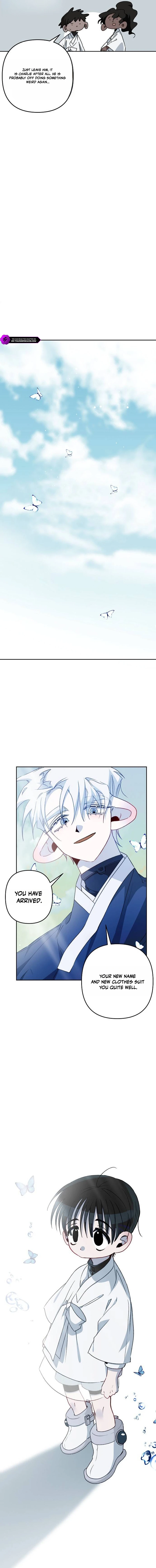 Peach Blossom Spring Chapter 9 — Page 8