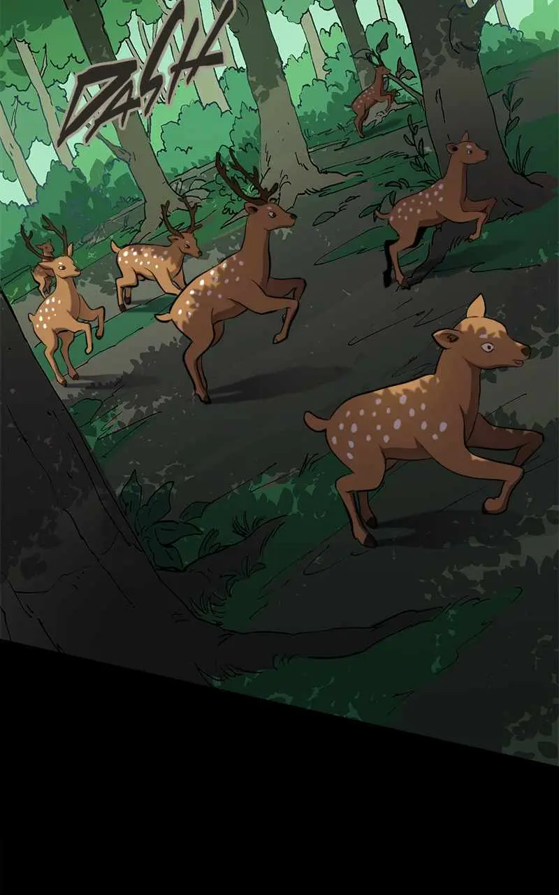 Primal Hunter Chapter 14 — Page 8