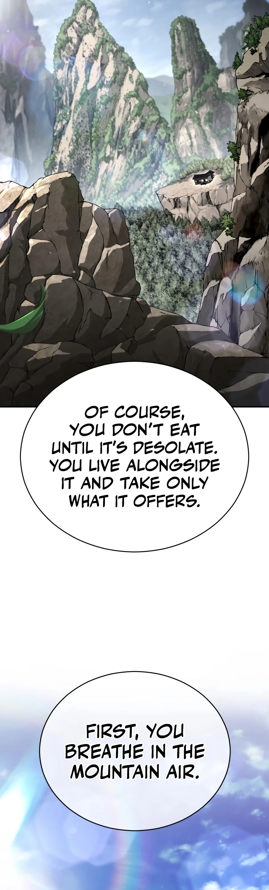 Reincarnation of the Fist King Chapter 63 — Page 15