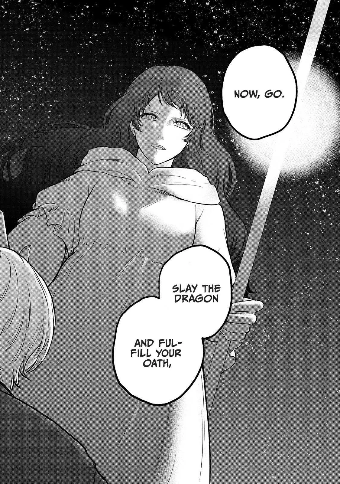 Saihate no Paladin Chapter 39 — Page 25
