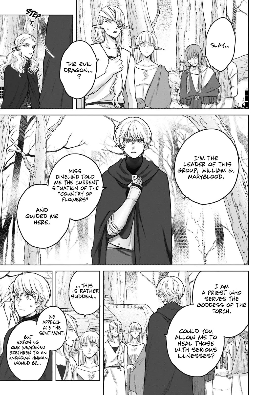 Saihate no Paladin Chapter 47 — Page 4