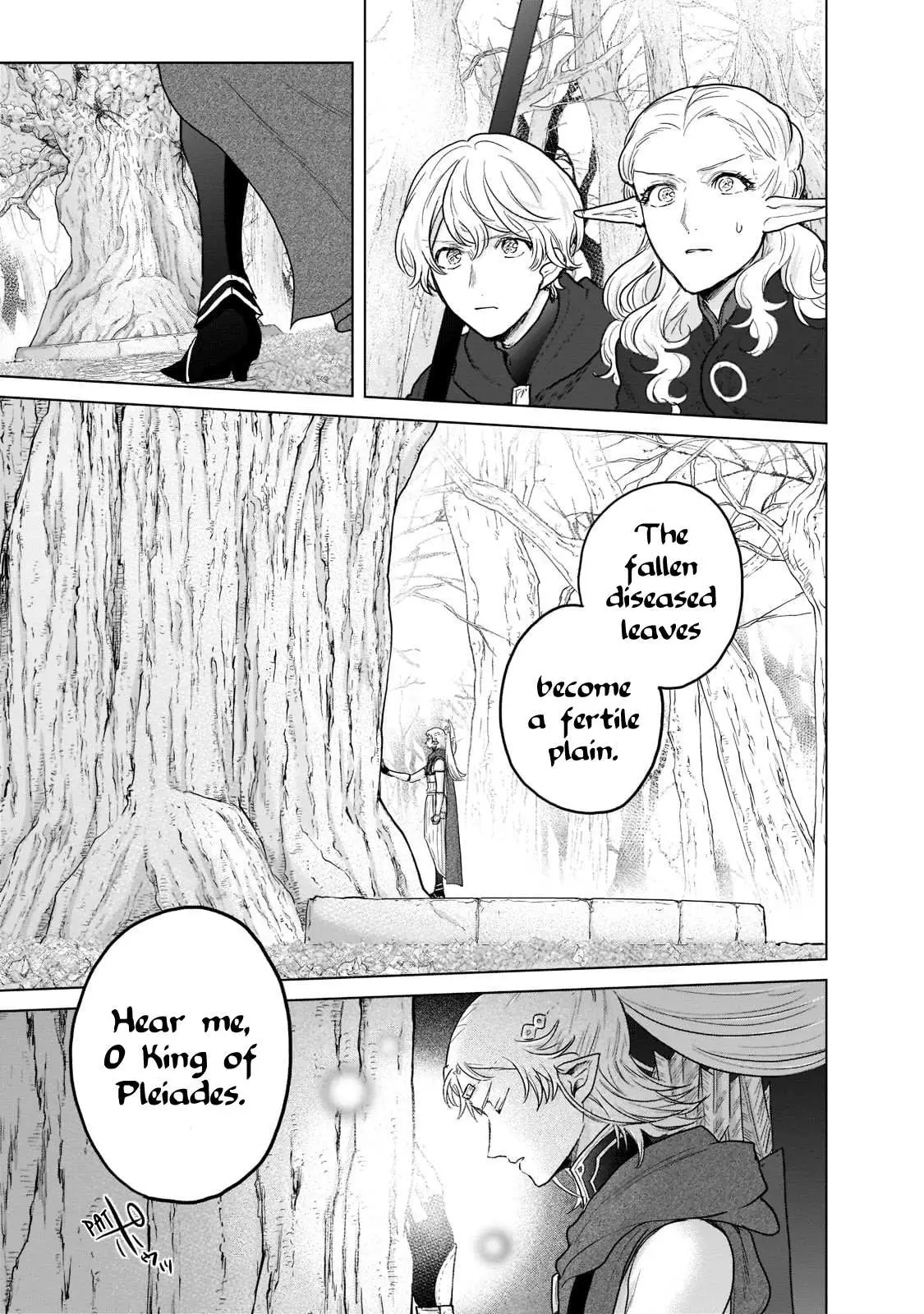 Saihate no Paladin Chapter 48.3 — Page 3