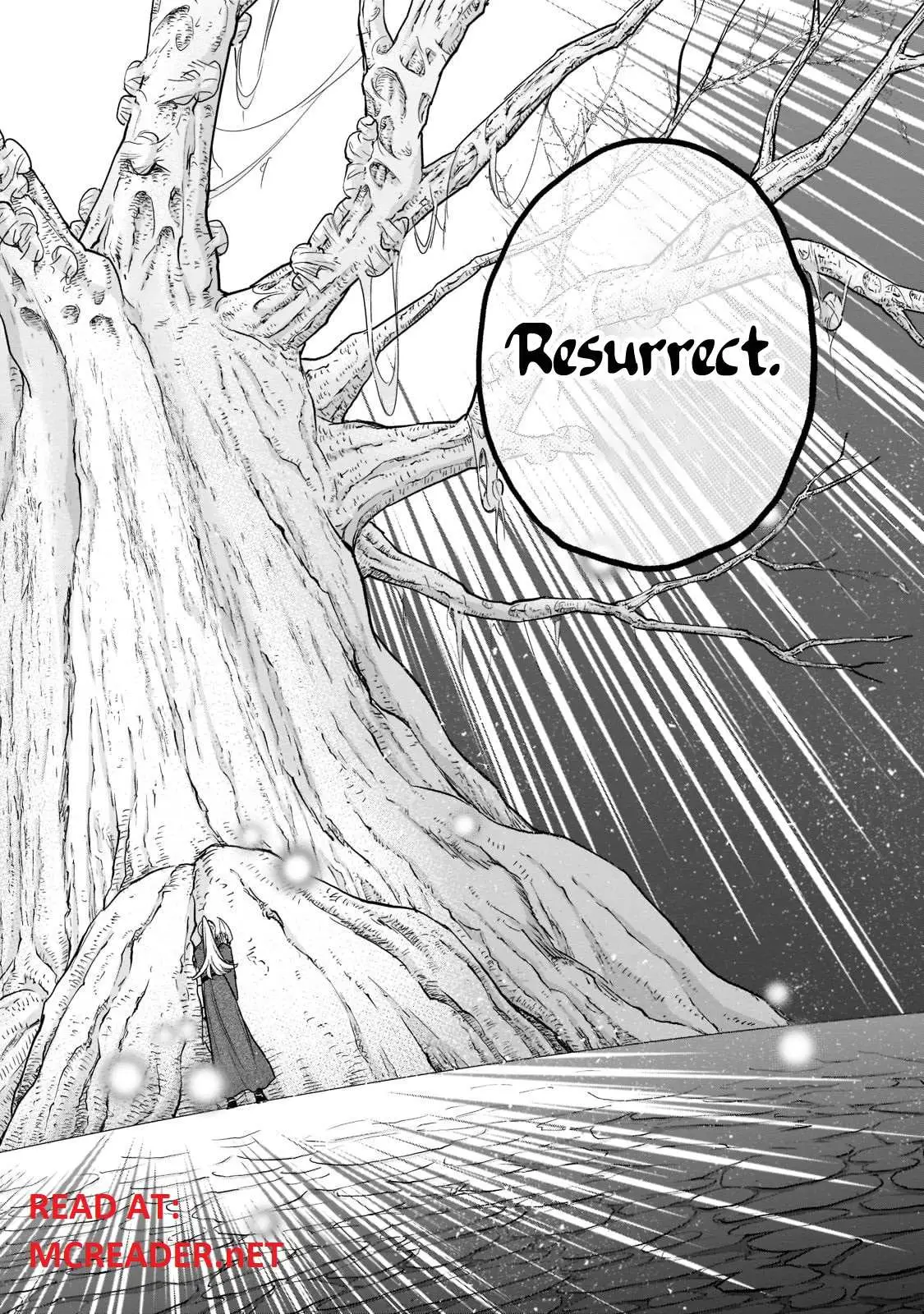 Saihate no Paladin Chapter 48.3 — Page 4