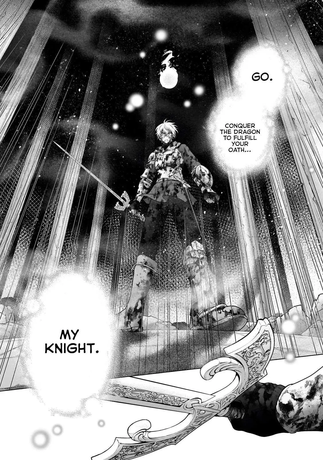 Saihate no Paladin Chapter 61 — Page 45