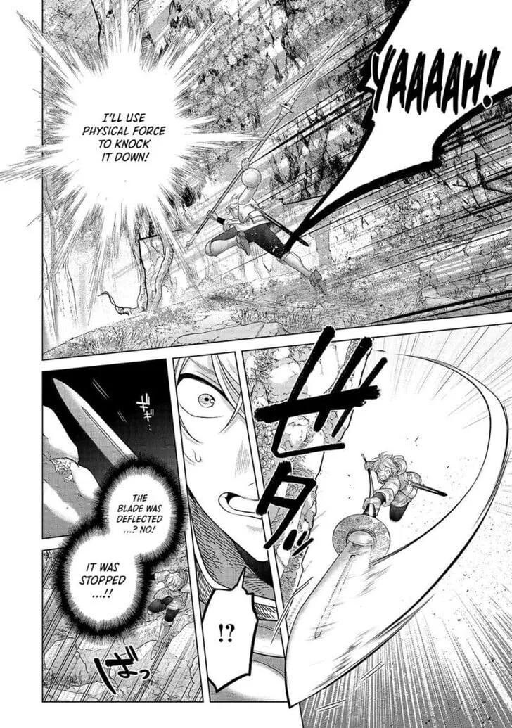 Saihate no Paladin Chapter 71.1 — Page 11