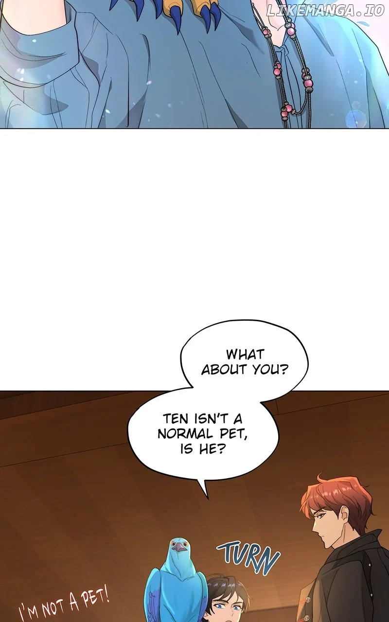 Seabird and the Wolf Chapter 11 — Page 41