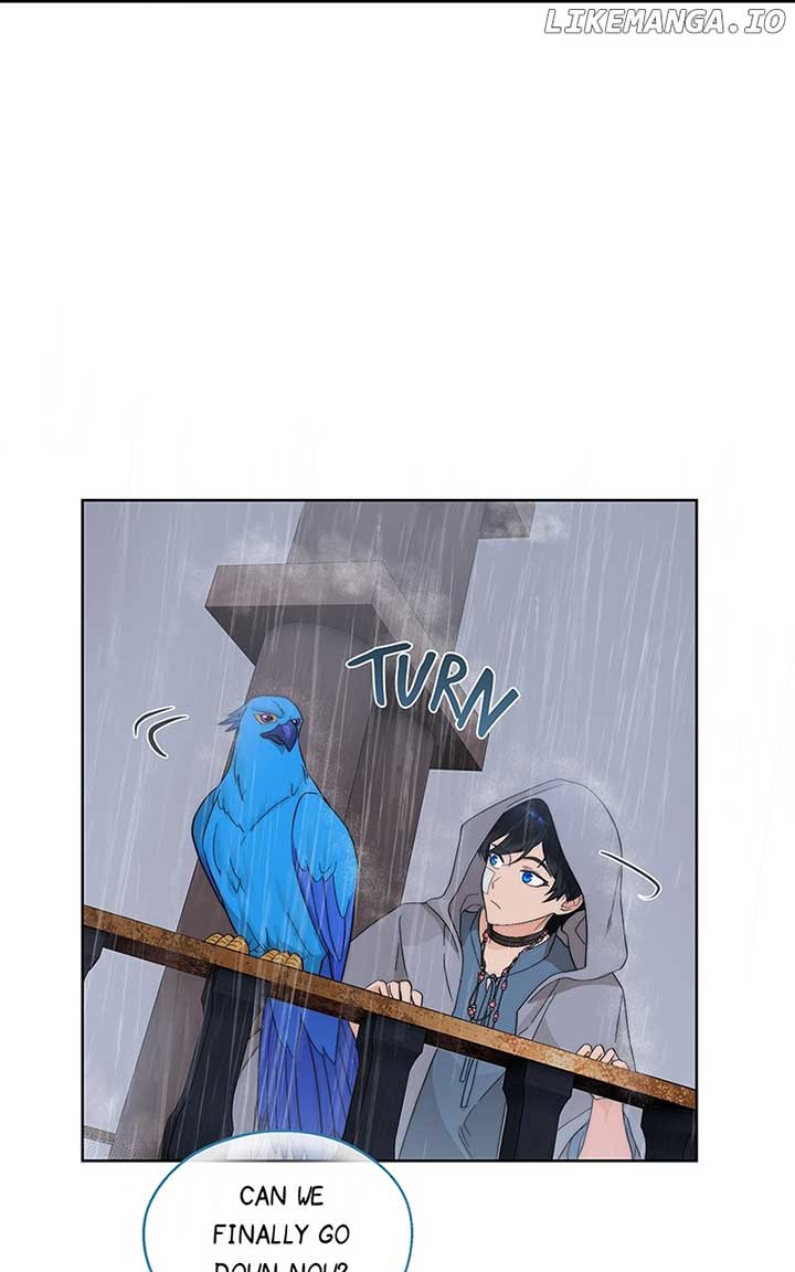 Seabird and the Wolf Chapter 13 — Page 42