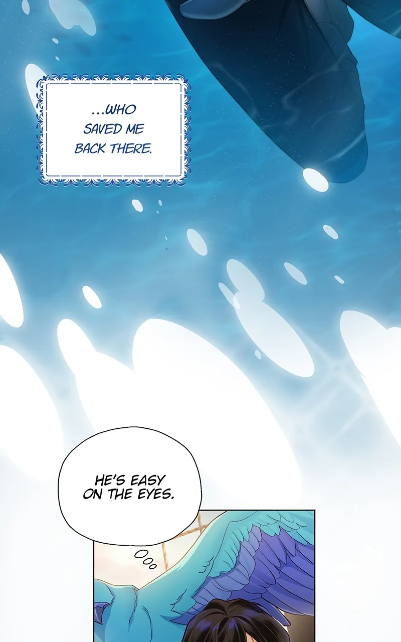 Seabird and the Wolf Chapter 4 — Page 5