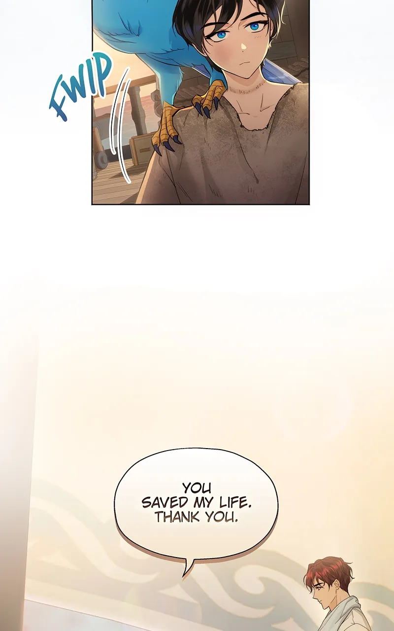 Seabird and the Wolf Chapter 4 — Page 6