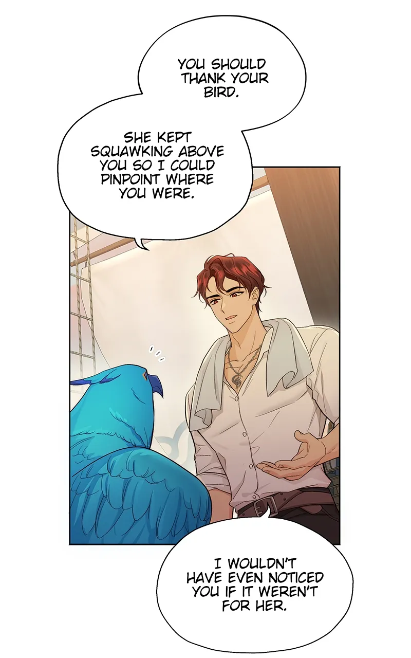 Seabird and the Wolf Chapter 4 — Page 8