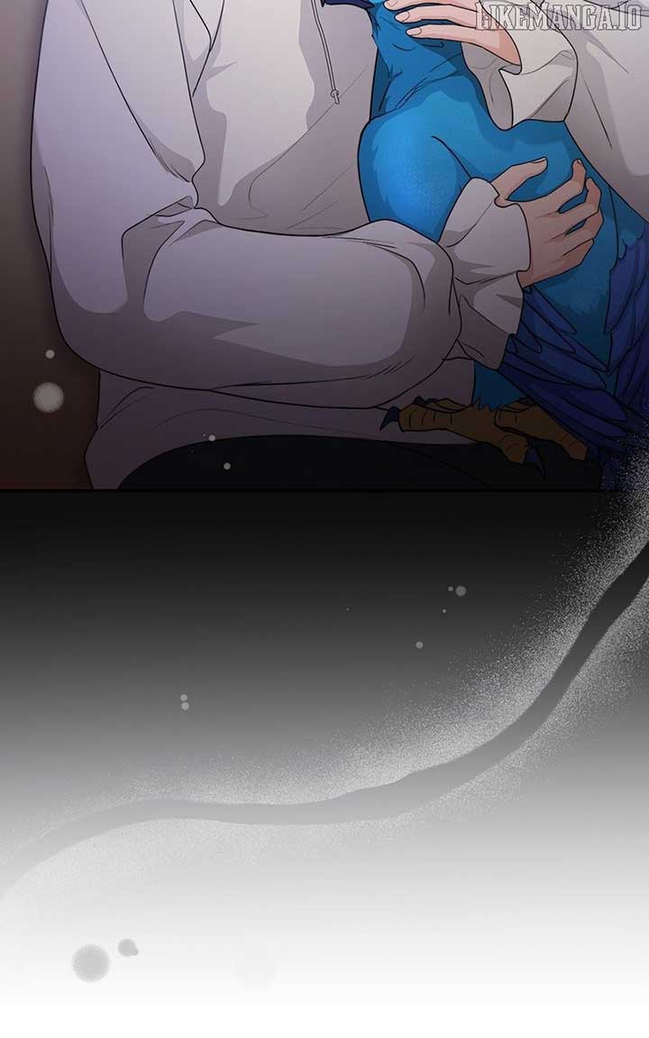 Seabird and the Wolf Chapter 45 — Page 65