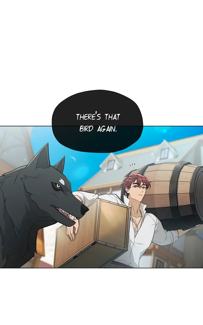 Seabird and the Wolf Chapter 5 — Page 17