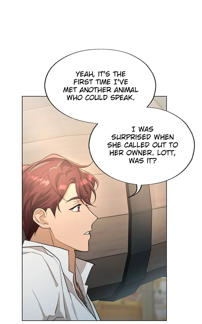 Seabird and the Wolf Chapter 5 — Page 18