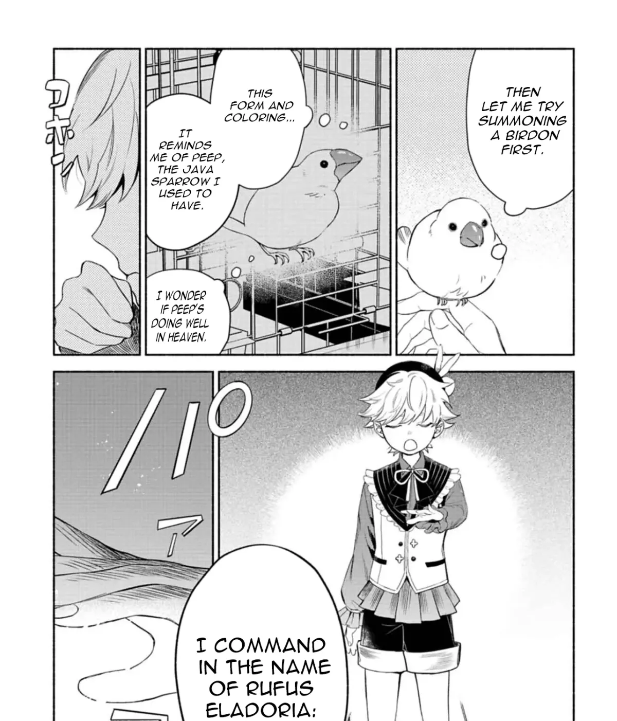 Shoukan Sukiru o Keishou shitanode, Kiwamete Miyou to Omoimasu! ~Mofumofu Mahou seibutsu to Isekai Life o Mankitsuchuu~ Chapter 1 — Page 62