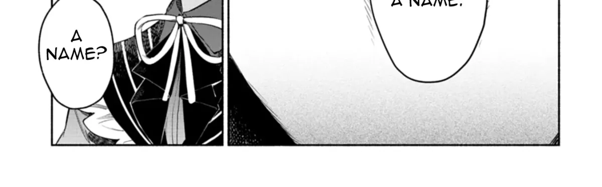 Shoukan Sukiru o Keishou shitanode, Kiwamete Miyou to Omoimasu! ~Mofumofu Mahou seibutsu to Isekai Life o Mankitsuchuu~ Chapter 2 — Page 11
