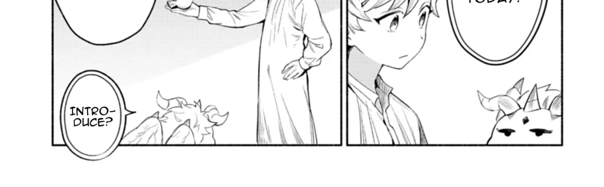 Shoukan Sukiru o Keishou shitanode, Kiwamete Miyou to Omoimasu! ~Mofumofu Mahou seibutsu to Isekai Life o Mankitsuchuu~ Chapter 3 — Page 35