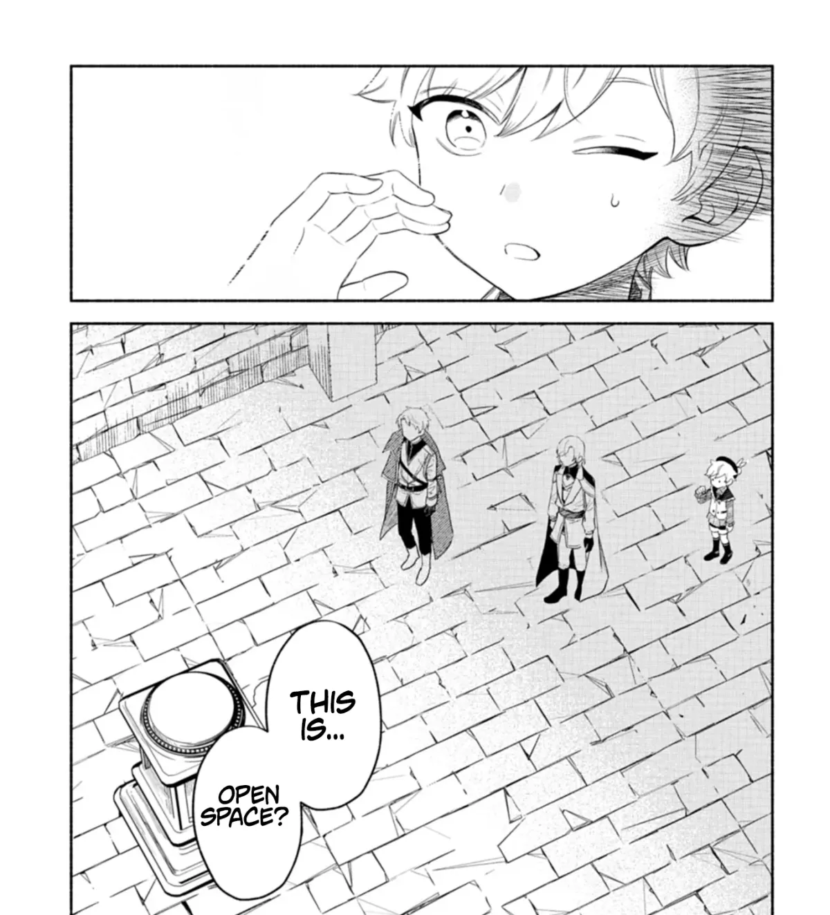 Shoukan Sukiru o Keishou shitanode, Kiwamete Miyou to Omoimasu! ~Mofumofu Mahou seibutsu to Isekai Life o Mankitsuchuu~ Chapter 5 — Page 46