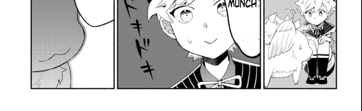 Shoukan Sukiru o Keishou shitanode, Kiwamete Miyou to Omoimasu! ~Mofumofu Mahou seibutsu to Isekai Life o Mankitsuchuu~ Chapter 9.2 — Page 25