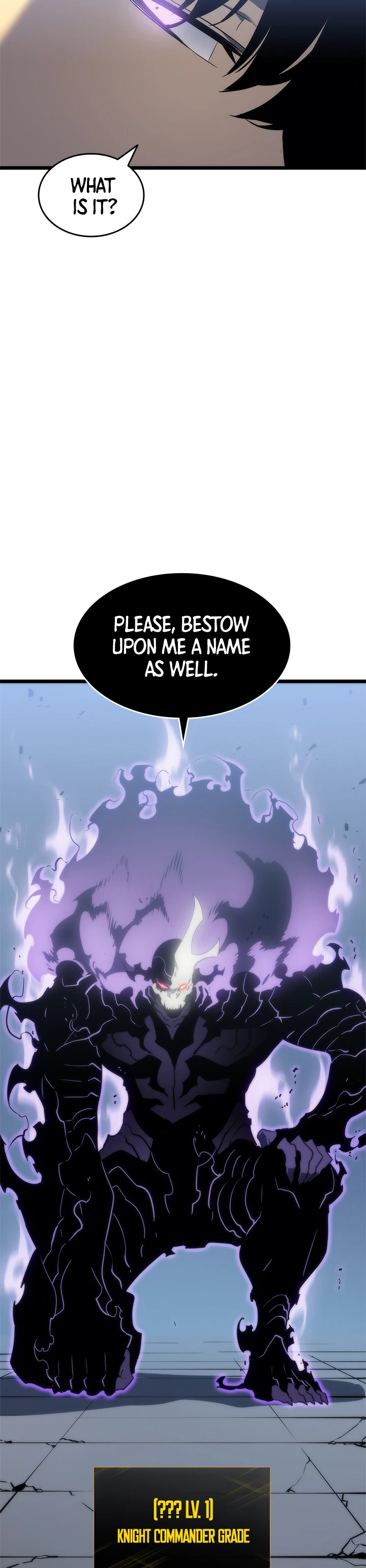 Solo Leveling Chapter 147 — Page 12