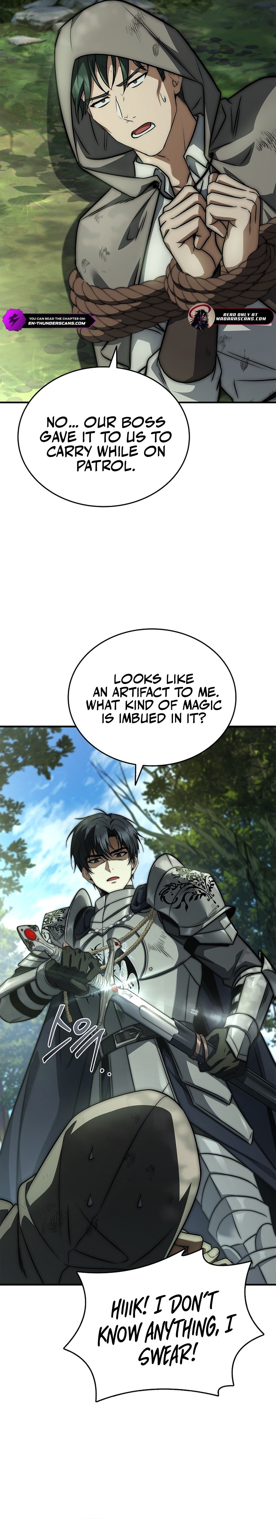 The 3rd Prince of the Fallen Kingdom Returns Chapter 23 — Page 17