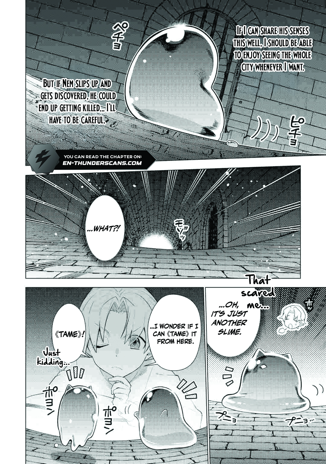 The F-Rank Tamer Rules the World from the Shadows with Sheer Numbers Chapter 1 — Page 35