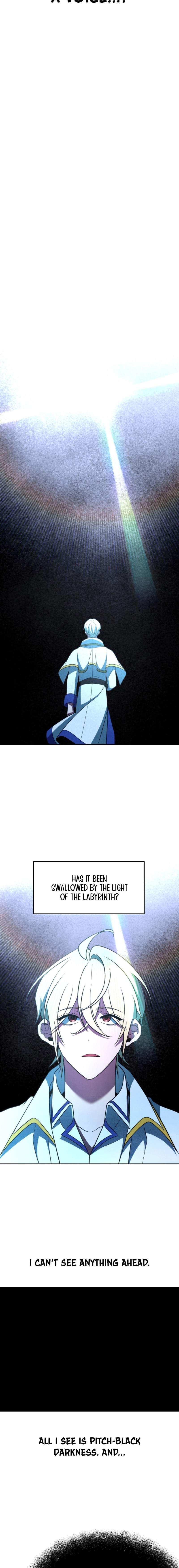 The Great Wizard Transcendent Chapter 118 — Page 12