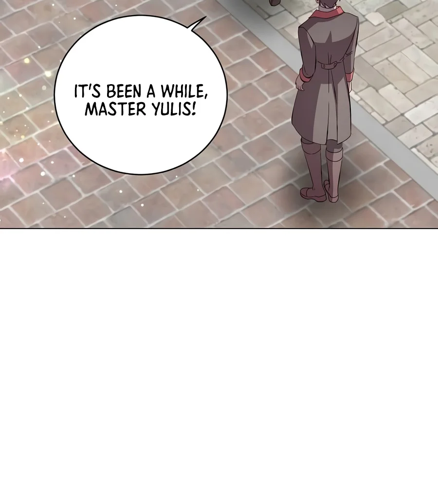 The Max Level Hero Strikes Back Chapter 247 — Page 8