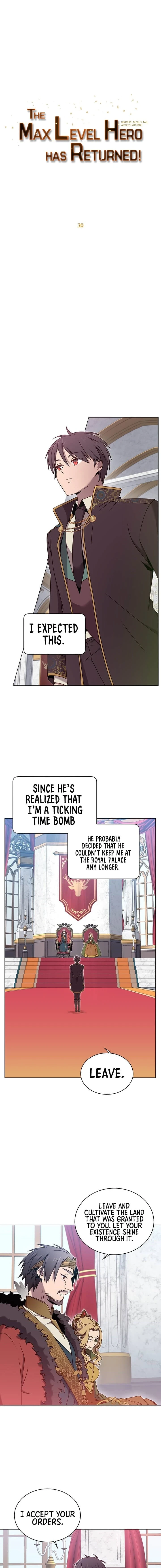 The Max Level Hero Strikes Back Chapter 30 — Page 7