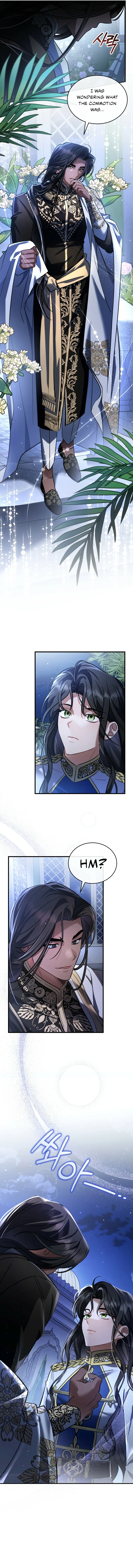 The Night Without Shadows Chapter 20 — Page 13